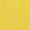 Caution Yellow