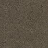 Lynx Lynx